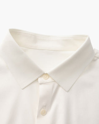 Chemise Ajustée en Coton Flex